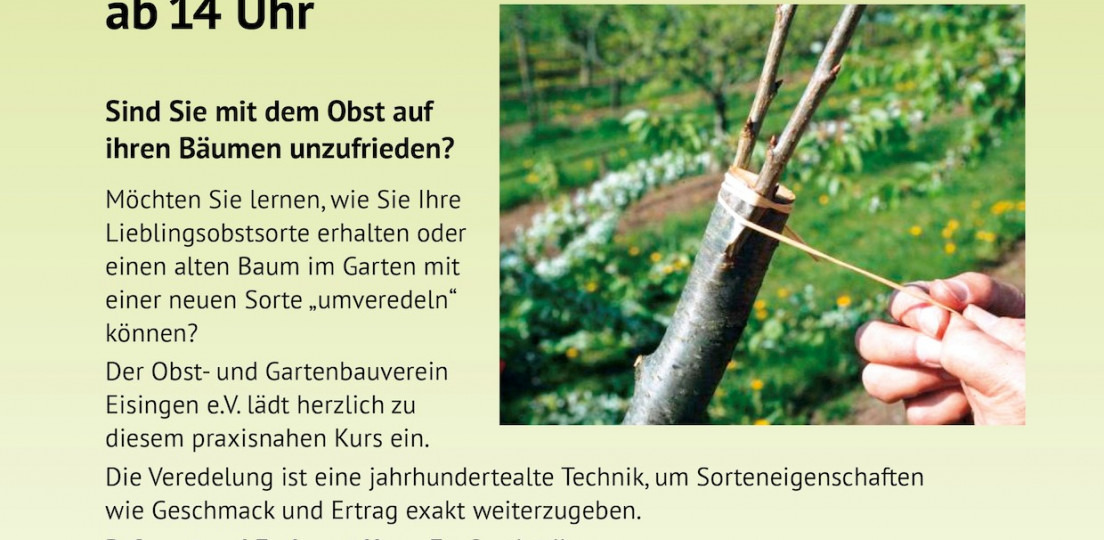 Sind Sie mit dem Obst auf ihren Bäumen unzufrieden?