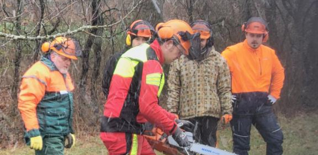 Motorsägekurs beim OGV. Eisingen